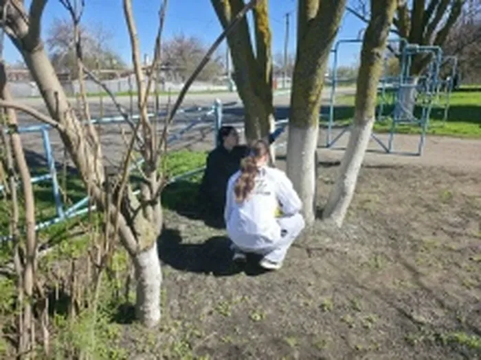 FRRebzx49zU64X6W-X4gqaNbKuy4ErGQuIXg3BPRPcf-4j8NOOqLgOd8GGW2ipZoCA0VHvvbDX_z5kUe5OpPdSTr